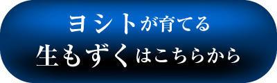 伊平屋の海人　新里斉士プロフィール